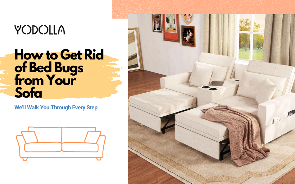 How to Get Rid of Bed Bugs from Your Sofa Quickly and Safely – YODOLLA
