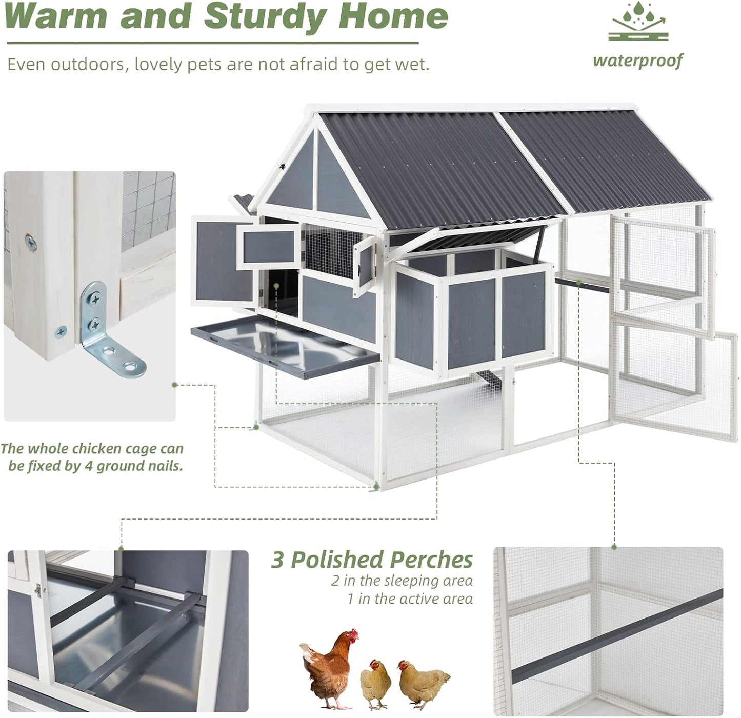 YODOLLA chicken coop with nesting boxes inside.