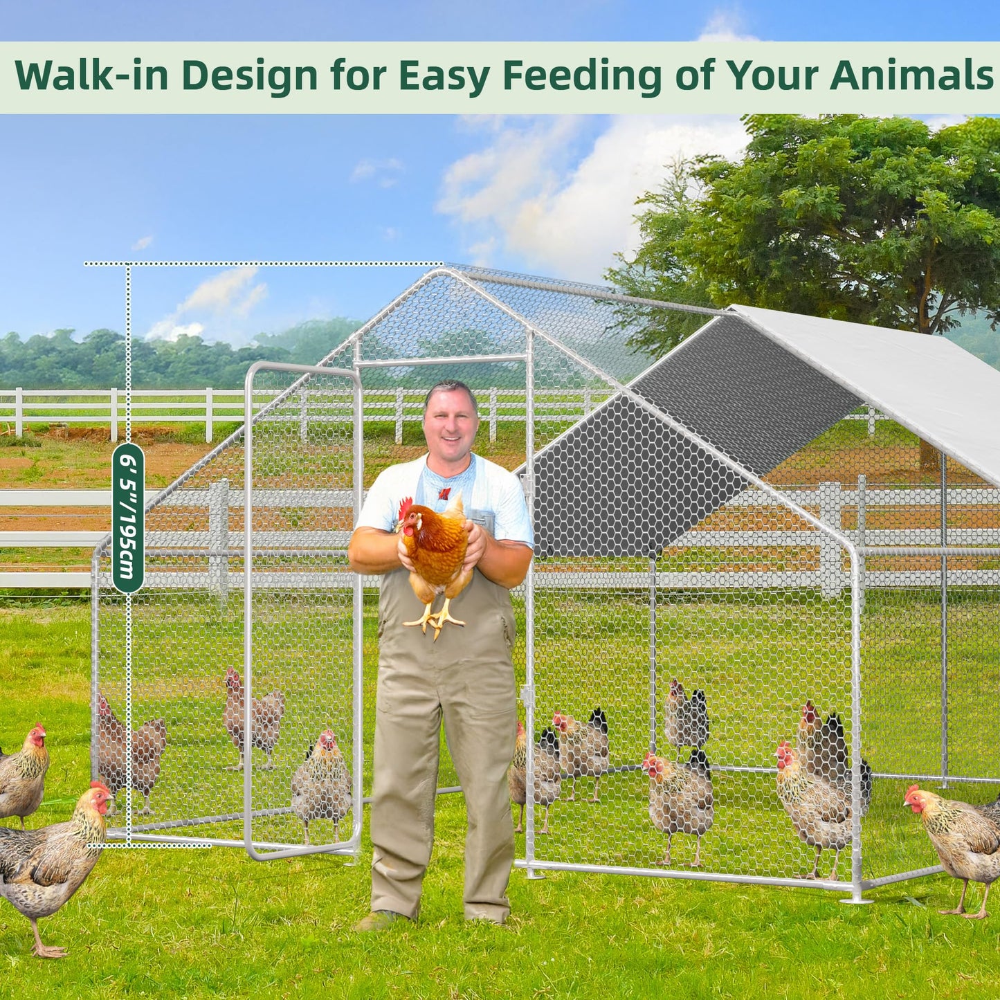 YODOLLA 6m walk-in chicken coop