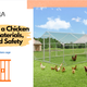 Building a Chicken Cage