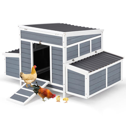 YODOLLA basic chicken coop for 6 chickens.
