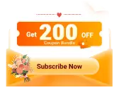 subscribe now button